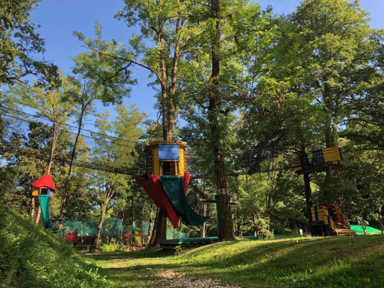 cabanes dans les arbres pano